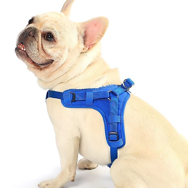 YI Hunde-Sicherheitsgeschirr Hundegeschirr Einstellbar Anti Zug günstig online kaufen