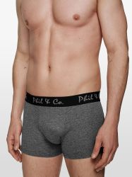 Phil & Co. Boxer Retropants (16-St) günstig online kaufen