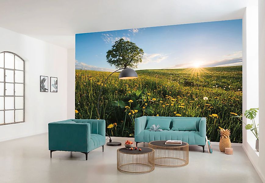 Vlies Fototapete Frühling auf dem Land 450x280 cm günstig online kaufen
