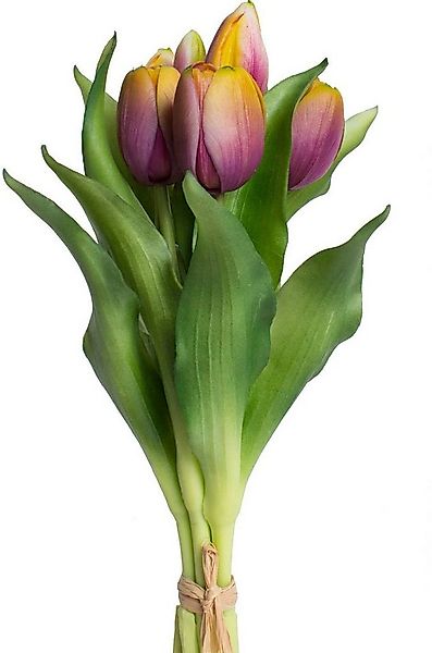 Kunstblume Willa Tulpe, Botanic-Haus, Höhe 32 cm, Tulpenbündel im 7er-Set günstig online kaufen