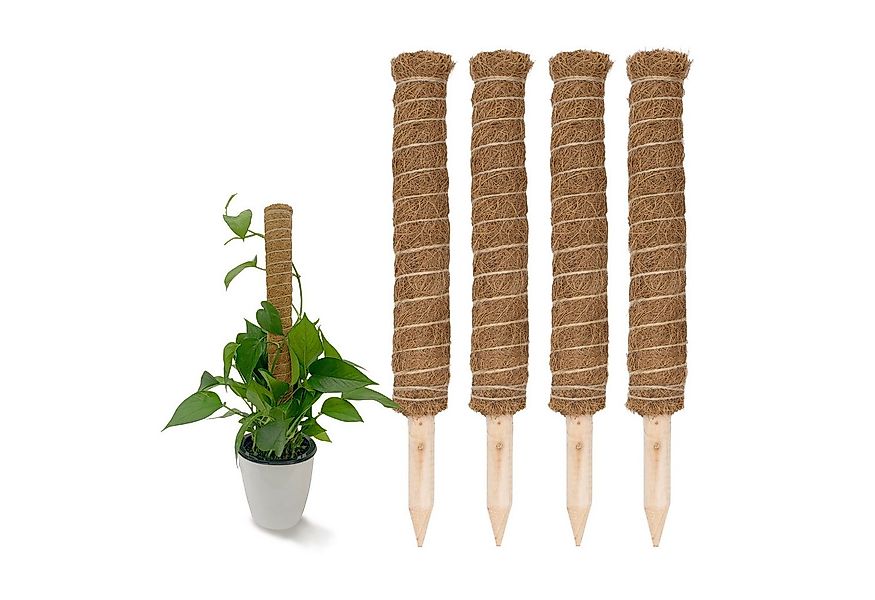 Spetebo Rankhilfe Kokos Rankstab natur - 2 / 4 Stück - Pflanzstab für Zimme günstig online kaufen
