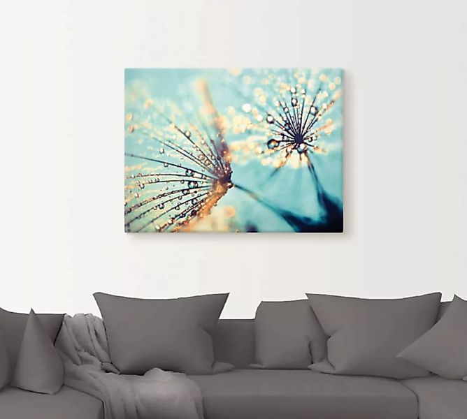 Artland Wandbild »Pusteblume aqua«, Blumen, (1 St.), als Leinwandbild, Post günstig online kaufen