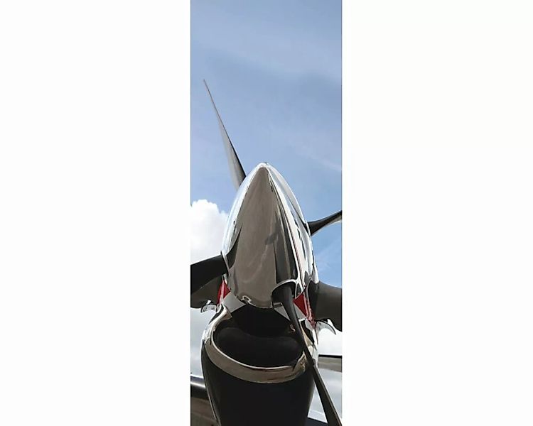Dekopanel "Propeller" 1,00x2,80 m / Glattvlies Brillant günstig online kaufen
