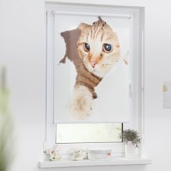 LICHTBLICK ORIGINAL Seitenzugrollo »Klemmfix Digital Katze« verdunkelnd ene günstig online kaufen