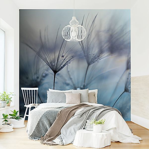 Bilderdepot24 Fototapete Blumen Blaue Federn Regen günstig online kaufen