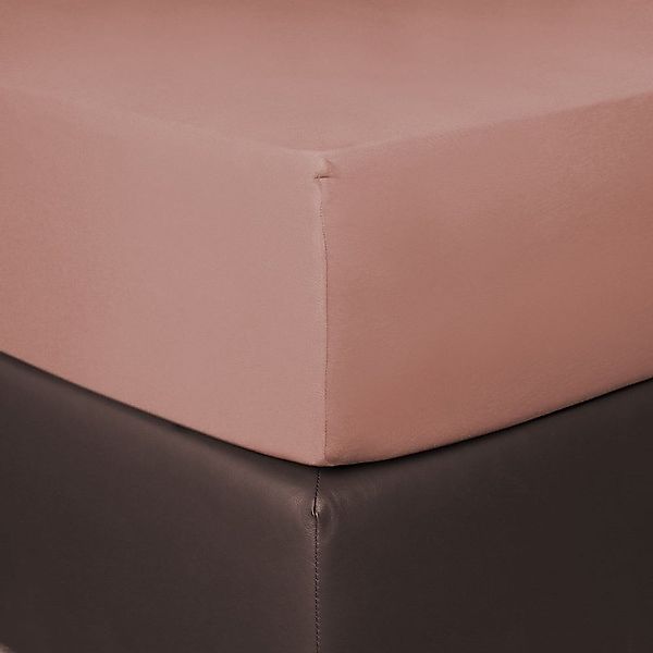 BETTWARENSHOP Spannbettlaken Boxspring, Jersey, Gummizug: Rundumgummi, günstig online kaufen
