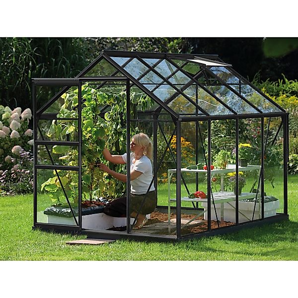 Vitavia Gewächshaus Venus 5000 Schwarz 5 m² günstig online kaufen