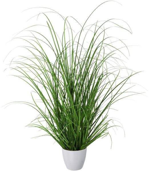 Kunstgras Gras, Creativ green, Höhe 60 günstig online kaufen