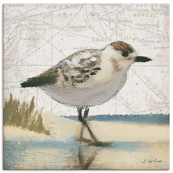 Artland Wandbild »Möwe I«, Vögel, (1 St.), als Leinwandbild, Wandaufkleber günstig online kaufen
