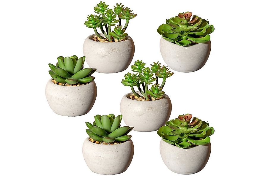 Künstliche Zimmerpflanze Sukkulenten Sukkulente, Creativ green, Höhe 9 cm, günstig online kaufen