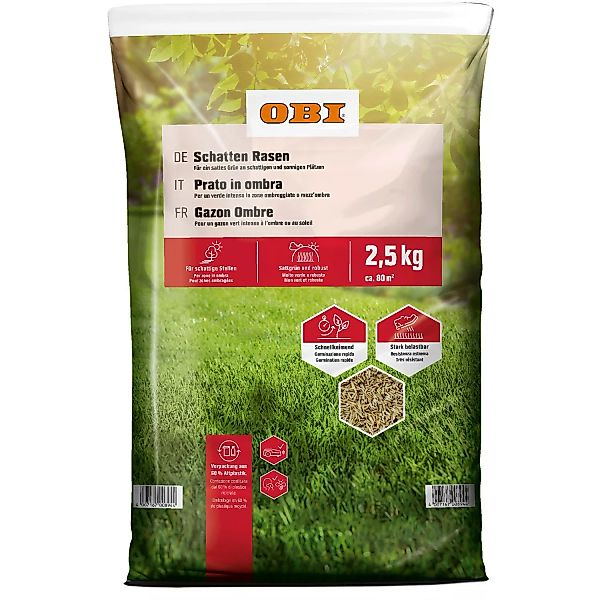 OBI Schatten-Rasen 2,5 kg günstig online kaufen