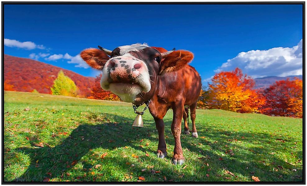 Papermoon Infrarotheizung »Kuh auf Wiese«, sehr angenehme Strahlungswärme günstig online kaufen