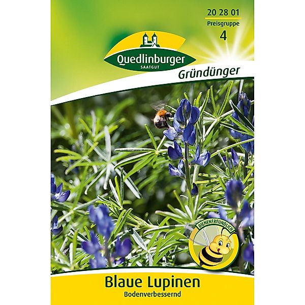 Quedlinburger Lupinen Blau Großpackung günstig online kaufen