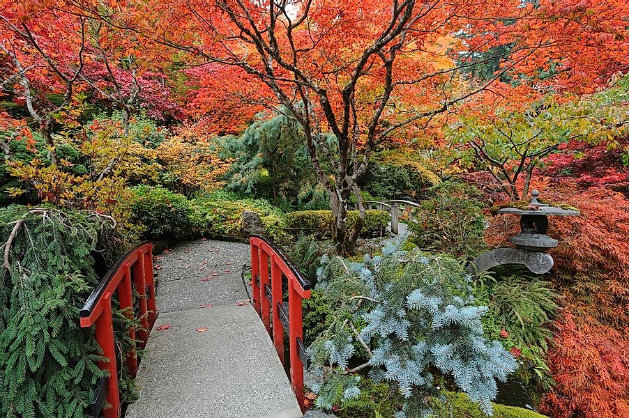 Papermoon Fototapete "JAPANISCHER GARTEN HERBST" günstig online kaufen
