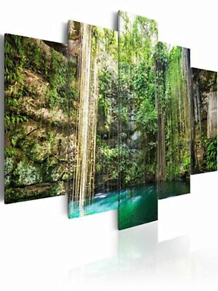 artgeist Wandbild Waterfall of Trees mehrfarbig Gr. 200 x 100 günstig online kaufen
