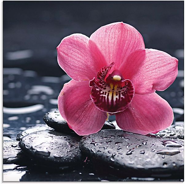 Artland Glasbild "Stillleben mit Kiesel und einer Orchidee", Blumen, (1 St. günstig online kaufen