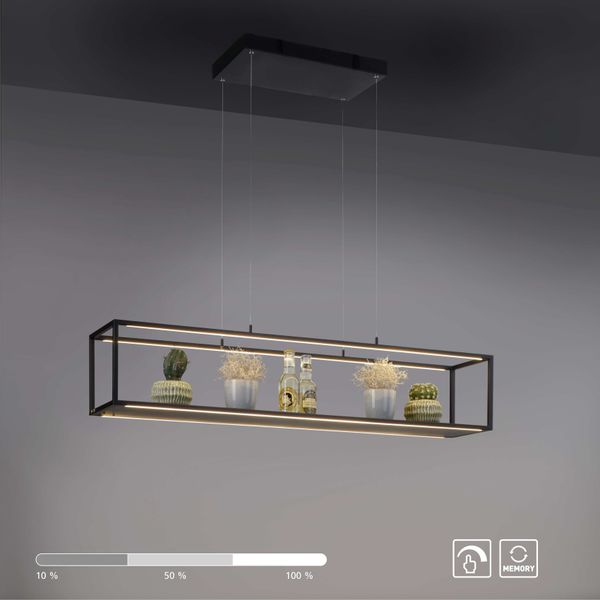 my home LED Pendelleuchte Cashel, Memory, günstig online kaufen