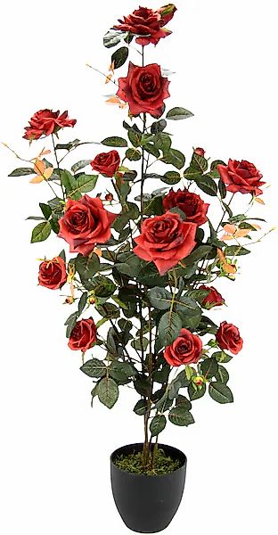 I.GE.A. Kunstbaum "Rosenbusch im Topf" Kunstrosen Kunstpflanzen Rosenstrauc günstig online kaufen