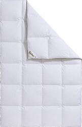 fjödur Gänsedaunenbettdecke "Franzisk, Bettdecken für Sommer oder Winter, D günstig online kaufen