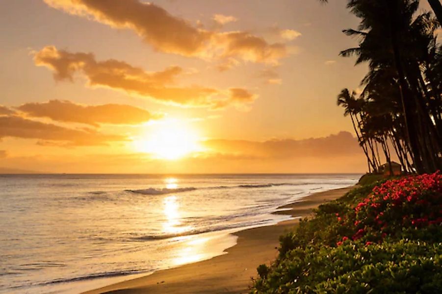 Papermoon Fototapete »Kaanapali Beach Hawaii« günstig online kaufen