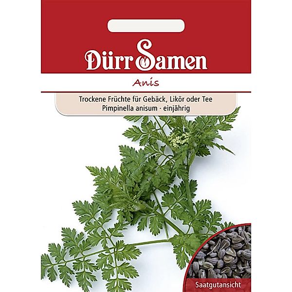Dürr Samen Anis Saatgut günstig online kaufen