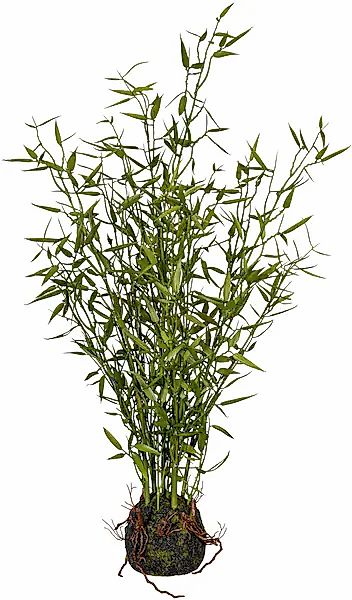 Künstliche Zimmerpflanze Bambus im Moosballen Bambus, Creativ green, Höhe 6 günstig online kaufen