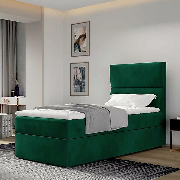 Funktionsbett Boxbett mit Bezug aus Samt günstig online kaufen