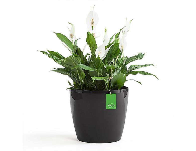 KAGM Blumentopf Übertopf Pflanztopf Hochglanz Pflanzkübel günstig online kaufen