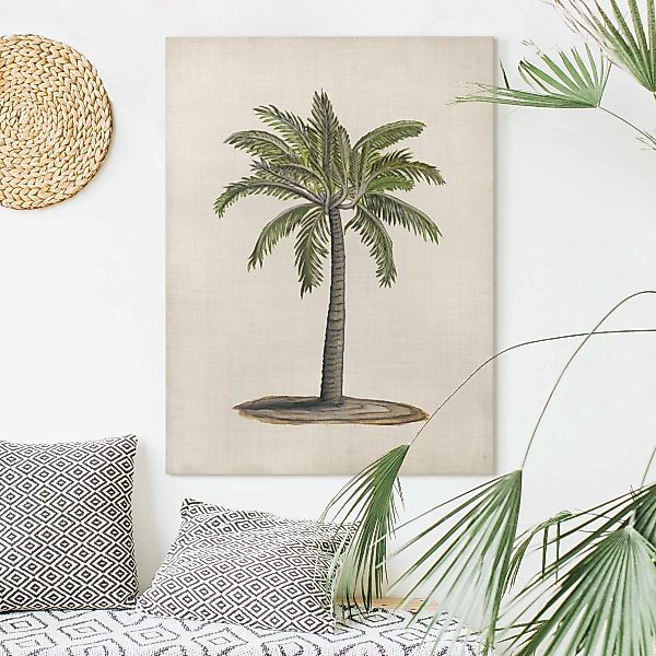 Leinwandbild Botanik - Hochformat Britische Palmen I günstig online kaufen