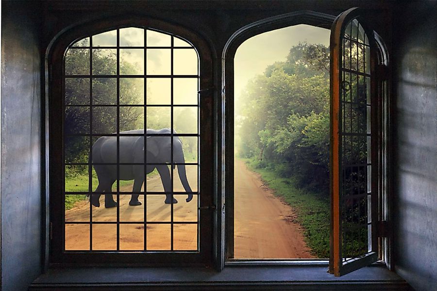 queence Wandsticker "Elefant" günstig online kaufen