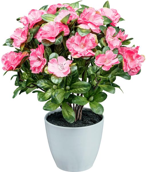 Kunstblume Azaleenbusch Azalee, Creativ green, Höhe günstig online kaufen