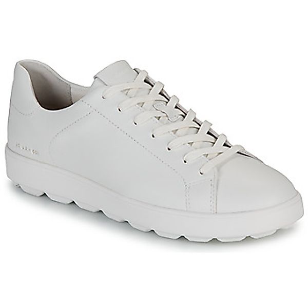 Geox  Sneaker U SPHERICA ECUB-1 C günstig online kaufen