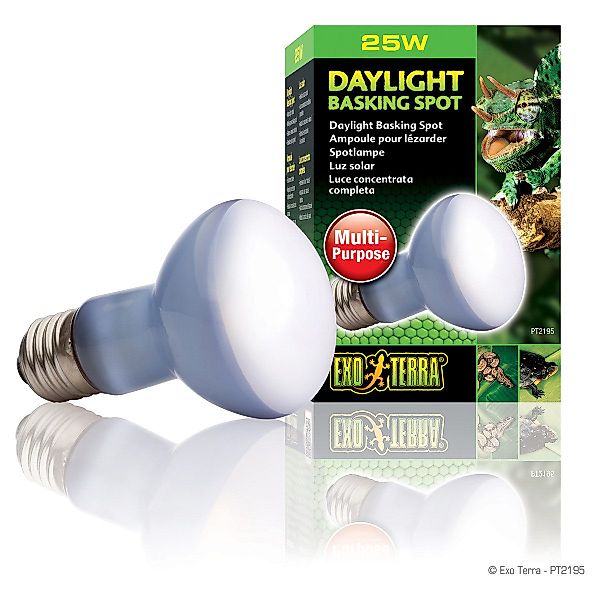 Exo Terra Terrarienleuchte Daylight Basking Spot günstig online kaufen