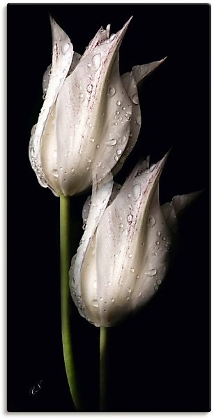 Artland Wandbild »Weiße Tulpen in der Nacht«, Blumenbilder, (1 St.) günstig online kaufen