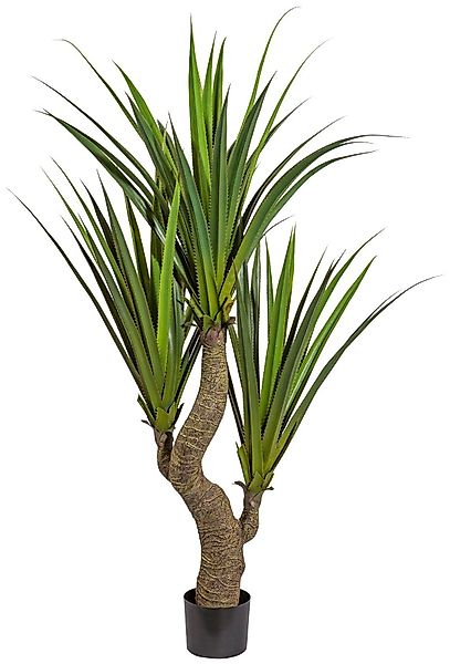 Kunstpflanze Agave, Creativ green, Höhe 160 günstig online kaufen