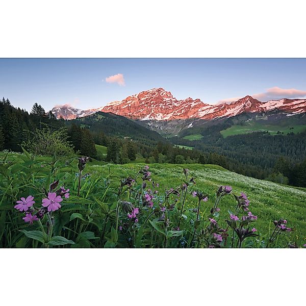 Sanders & Sanders Fototapete Landschaft Grün Blau und Violett 450 x 280 cm günstig online kaufen