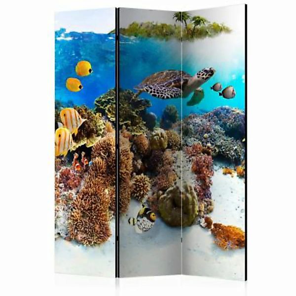 artgeist Paravent Cay [Room Dividers] mehrfarbig Gr. 135 x 172 günstig online kaufen