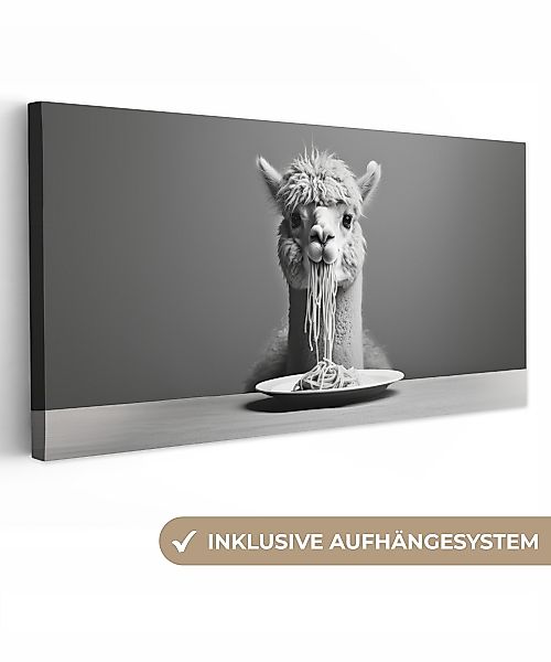 OneMillionCanvasses® Leinwandbild Panorama Alpaka - Nudeln günstig online kaufen