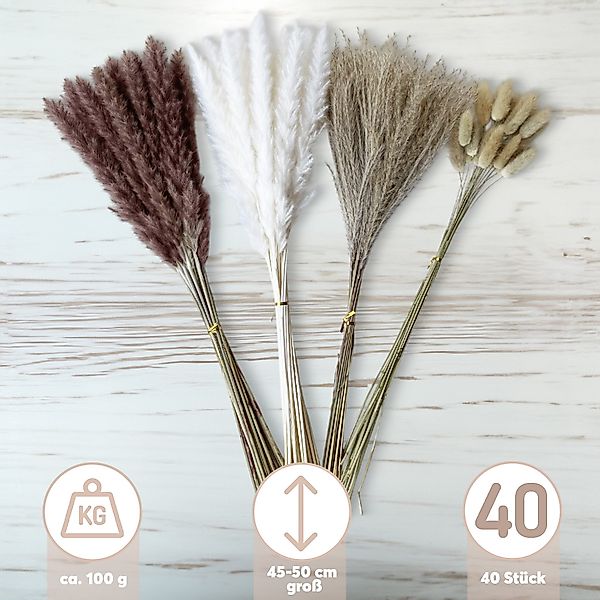 Kunstblume Getrocknetes Pampasgras im 40er Set, günstig online kaufen