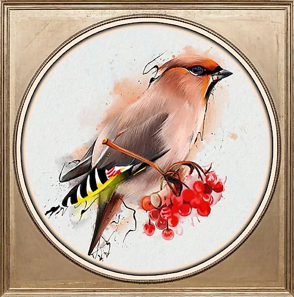 queence Acrylglasbild "Bunter Vogel II" günstig online kaufen