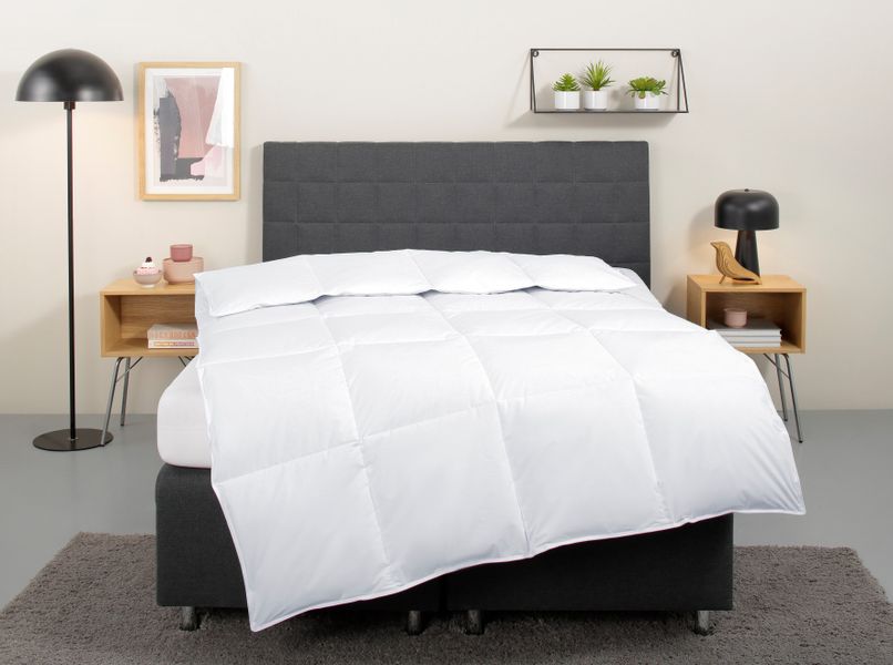 my home Daunenbettdecke "Cyra, Bettdecke 135x200 cm, 155x220 cm" warm Füllu günstig online kaufen
