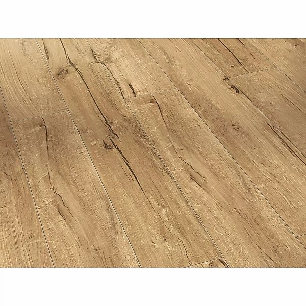 Parador Trendtime 1 Laminat 8 mm Eiche Century Natur günstig online kaufen