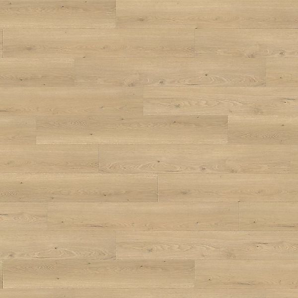 Living by Haro Laminat 8 mm Eiche Flavia Puro günstig online kaufen