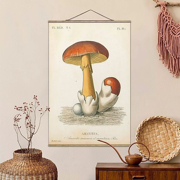 Stoffbild mit Posterleisten Französische Pilze günstig online kaufen