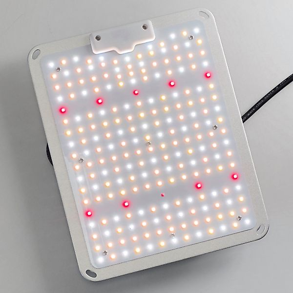TEUTO Licht Pflanzenlampe Grow Lampe CANDY günstig online kaufen