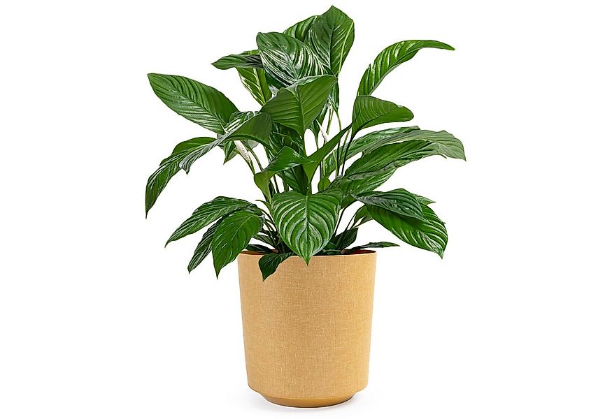 KONZEPT Blumentopf Pflanztopf in Textil-Optik (1 St), Übertöpfe aus Kunstst günstig online kaufen