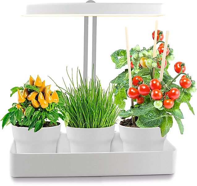 Northpoint Pflanzenlampe LED Pflanzenleuchte Gewächslampe 22W günstig online kaufen
