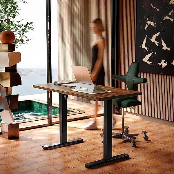 Huanuo Schreibtisch Elektrisch Höhenverstellbarer Schreibtisch günstig online kaufen