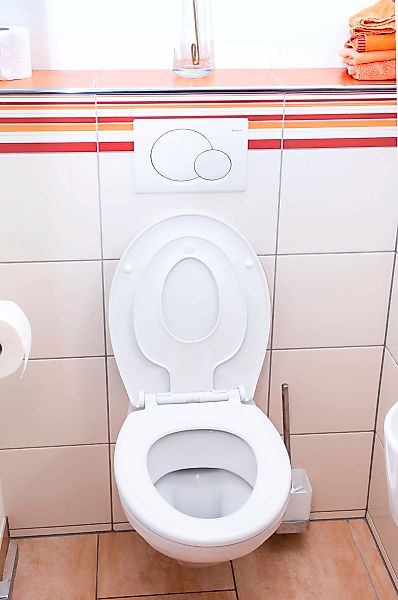 CORNAT WC-Sitz Pflegeleichter Thermoplast - Montierbarer günstig online kaufen