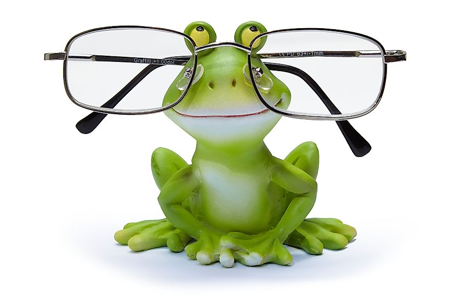 By Bers Dekoobjekt Frosch Brillenhalter f. günstig online kaufen